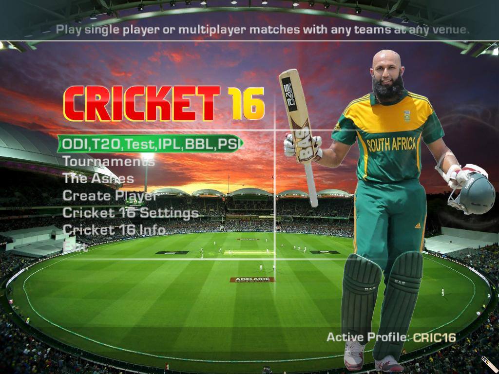 Cricket online games google